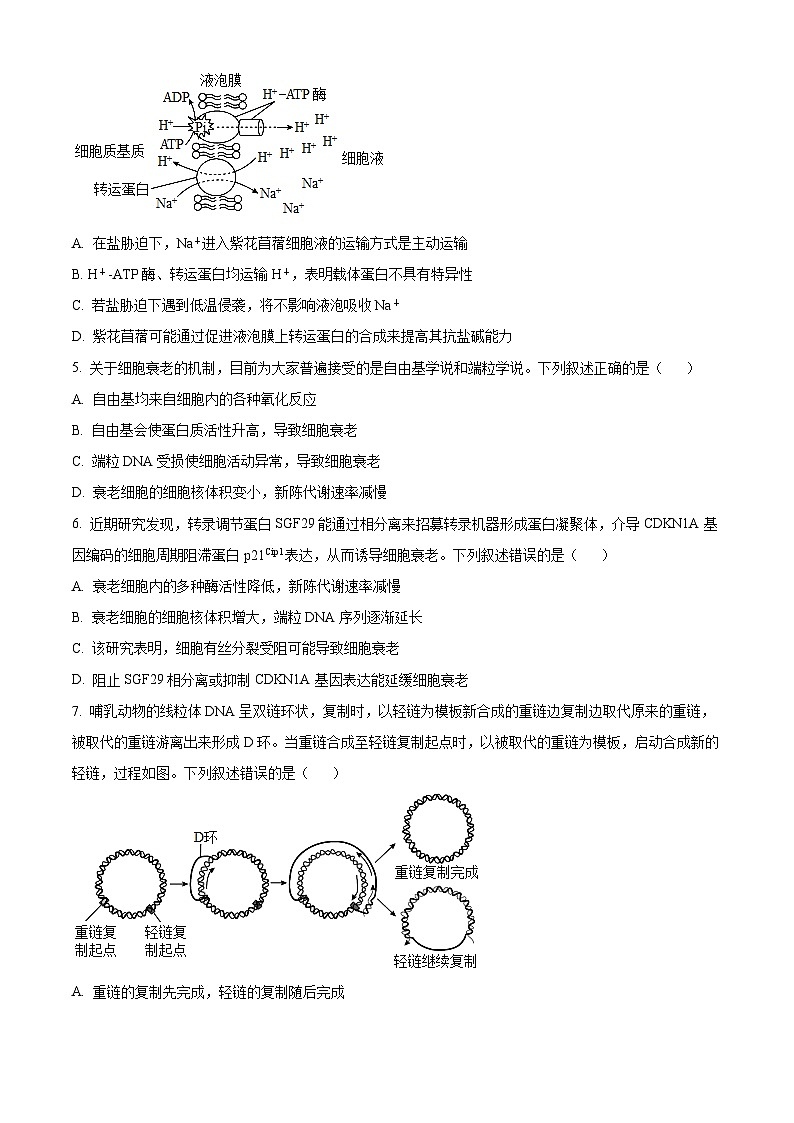 山东省齐鲁名校教研共同体2024-2025学年高三下学期第五次联考生物试题（原卷版）第2页