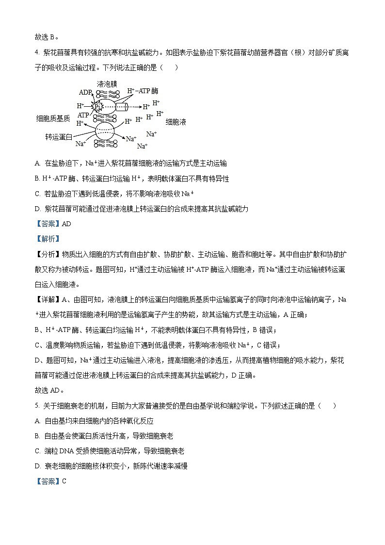 山东省齐鲁名校教研共同体2024-2025学年高三下学期第五次联考生物试题 Word版含解析第3页