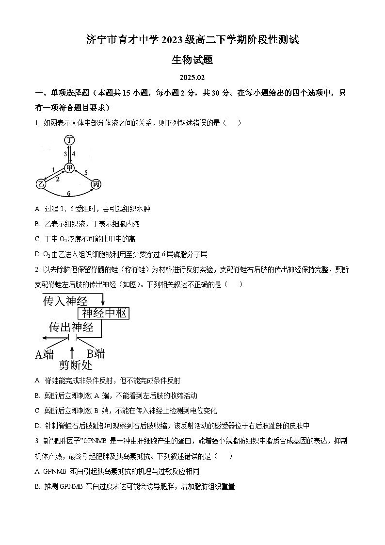 山东省济宁育才中学2024-2025学年高二下学期开学考试生物试题（原卷版）第1页