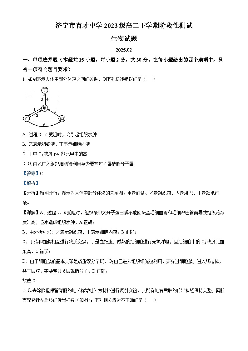 山东省济宁育才中学2024-2025学年高二下学期开学考试生物试题 Word版含解析第1页