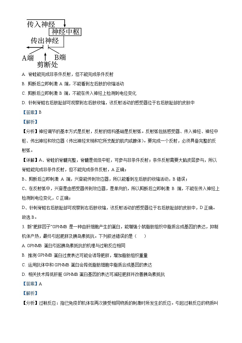 山东省济宁育才中学2024-2025学年高二下学期开学考试生物试题 Word版含解析第2页