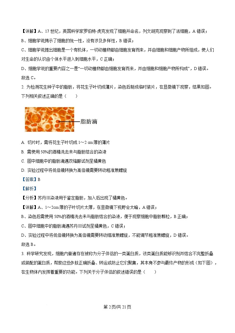 湖北省随州市部分高中2024-2025学年高一下学期2月联考生物试题 Word版含解析第2页