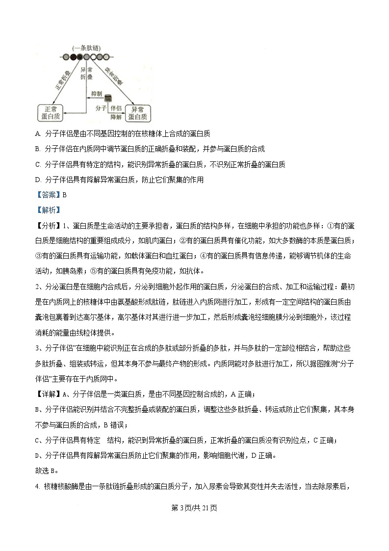 湖北省随州市部分高中2024-2025学年高一下学期2月联考生物试题 Word版含解析第3页