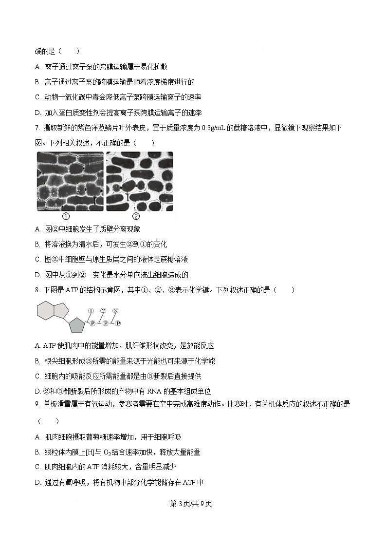 湖北省随州市部分高中2024-2025学年高一下学期2月联考生物试题（原卷版）第3页