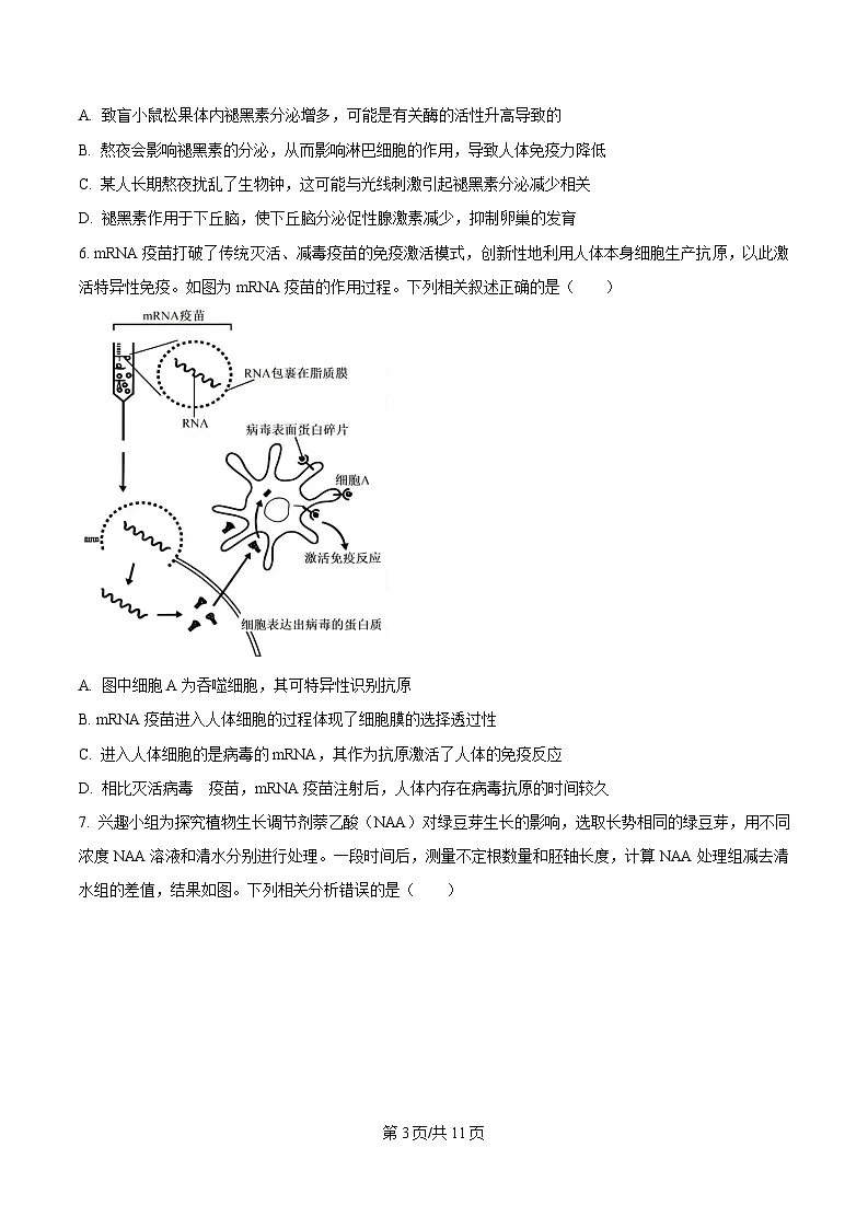 湖北省部分重点中学2024-2025学年高二上学期期末联考生物试卷（原卷版）第3页