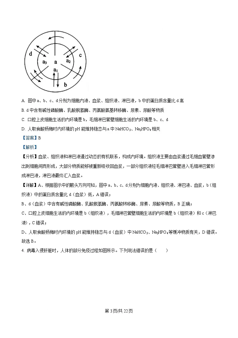 湖北省部分重点中学2024-2025学年高二上学期期末联考生物试卷 Word版含解析第3页
