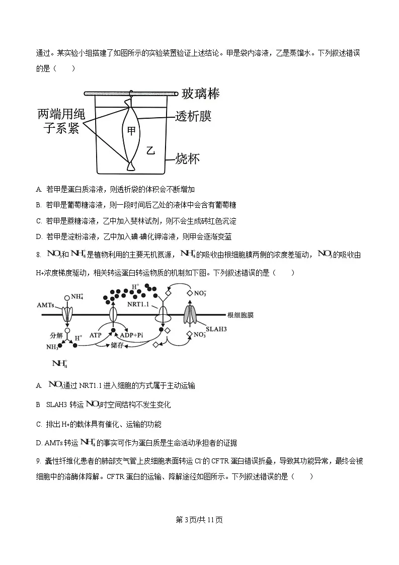 湖北省2024-2025学年高一上学期期末联考生物试卷（原卷版）第3页