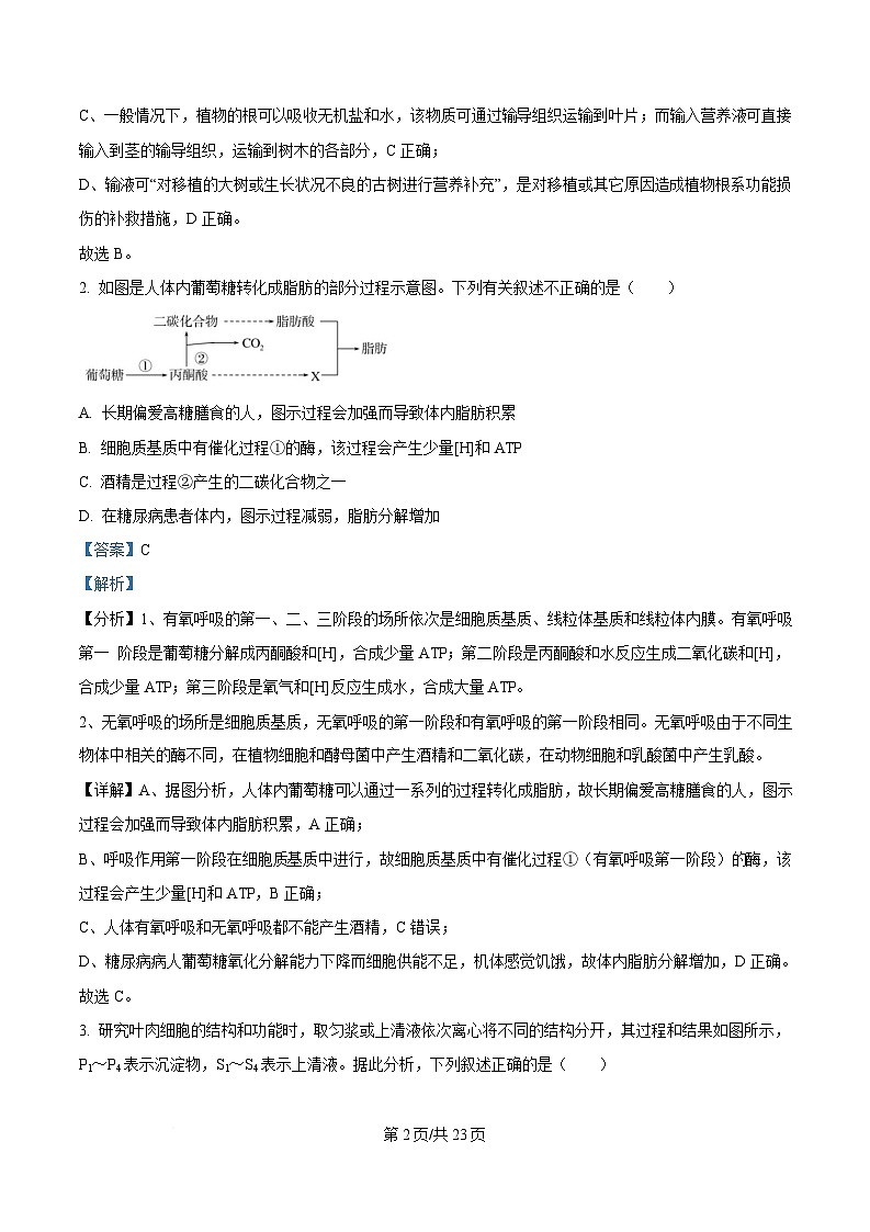 湖北省随州市部分高中2024-2025学年高三下学期2月月考生物试题 Word版含解析第2页