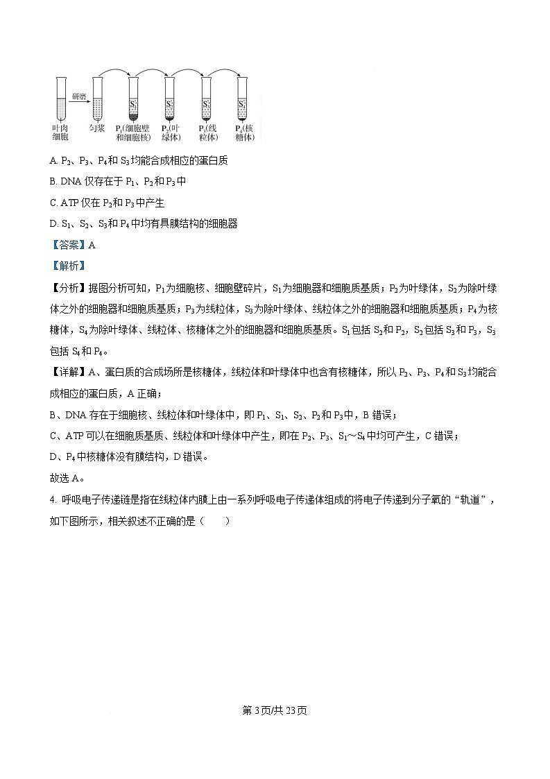湖北省随州市部分高中2024-2025学年高三下学期2月月考生物试题 Word版含解析第3页