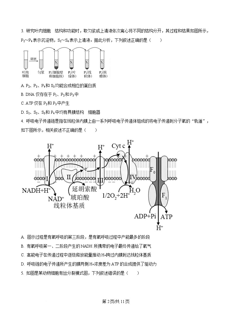 湖北省随州市部分高中2024-2025学年高三下学期2月月考生物试题（原卷版）第2页
