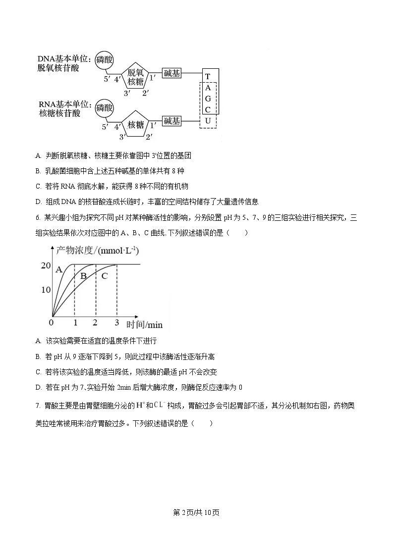 湖北省武汉市洪山高级中学2024-2025学年高一下学期2月考试生物试卷（原卷版）第2页