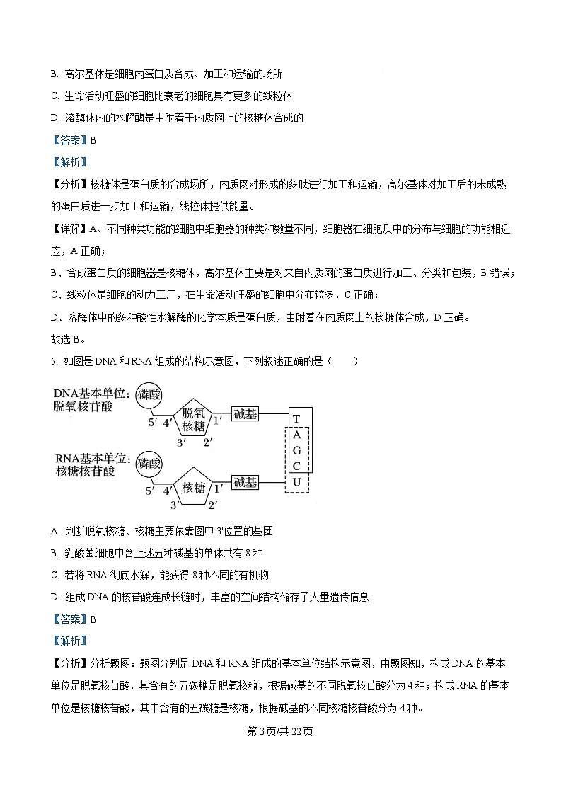 湖北省武汉市洪山高级中学2024-2025学年高一下学期2月考试生物试卷 Word版含解析第3页