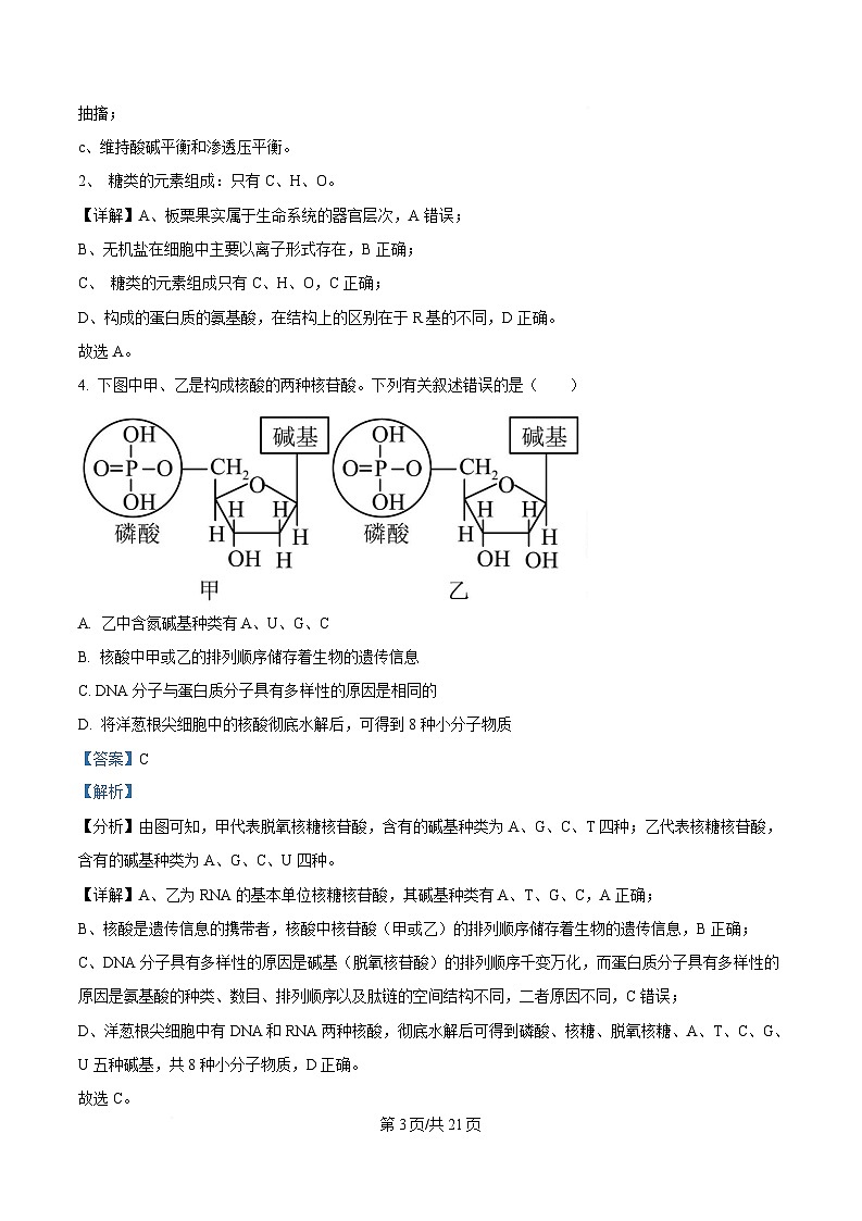 湖北省部分省级示范高中2024～2025学年高一上学期期末考试生物试题 Word版含解析第3页