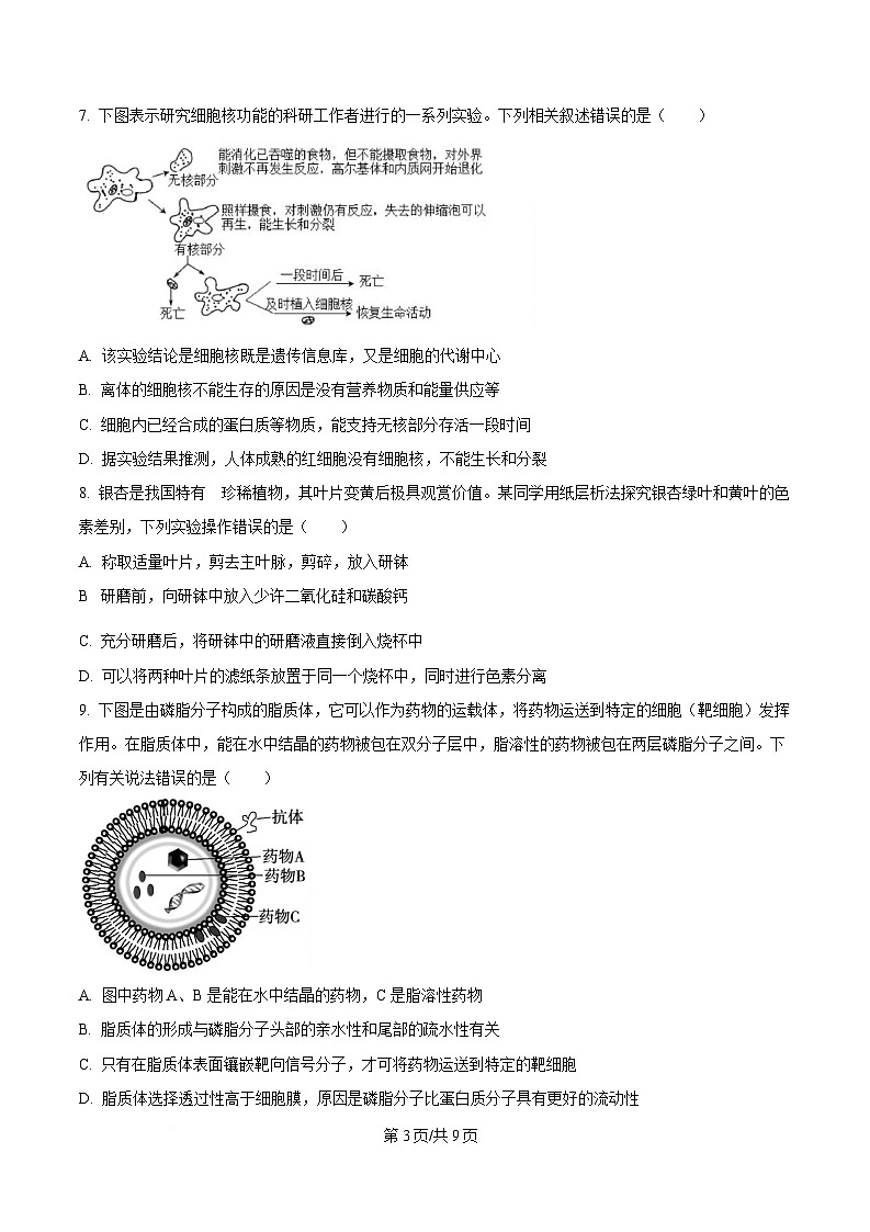湖北省部分省级示范高中2024～2025学年高一上学期期末考试生物试题（原卷版）第3页