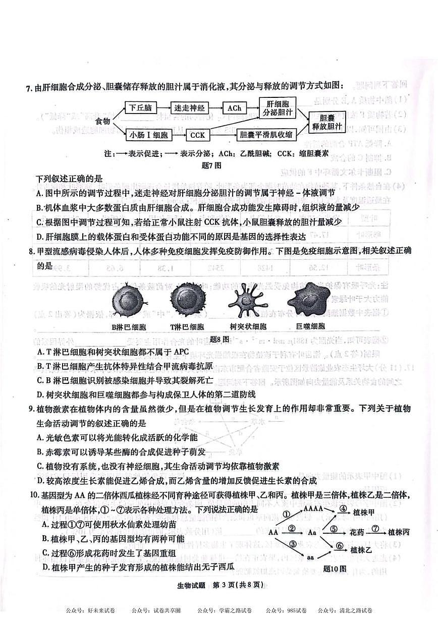 安徽省安徽六校教育研究会2025届高三年级入学素质测试（开学联考）生物试卷+答案第3页