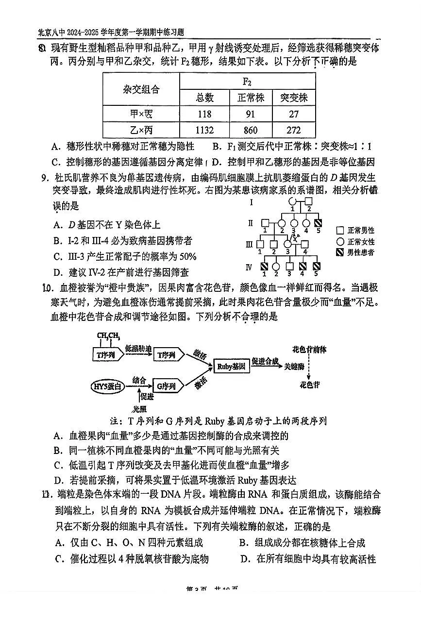2024北京八中高三（上）期中生物试卷（有答案）第3页