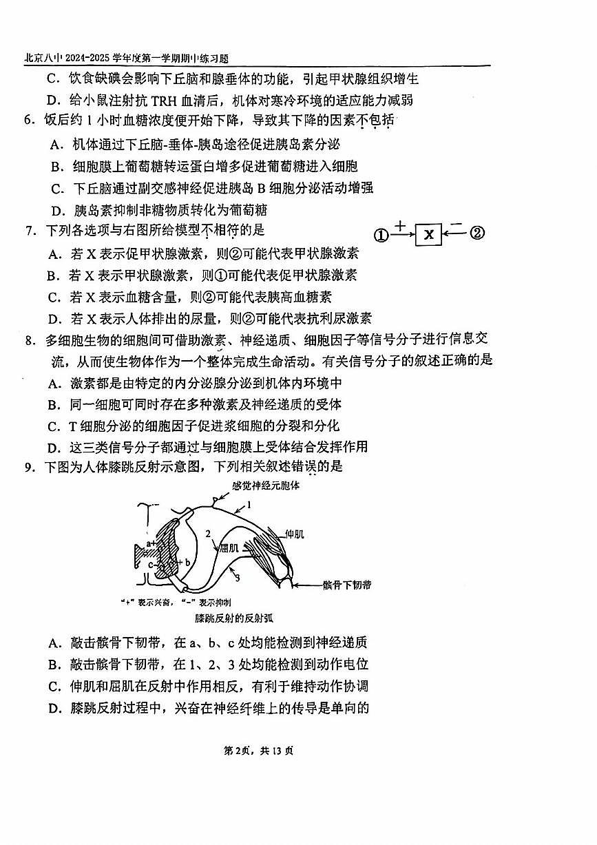 2024北京八中高二（上）期中生物试卷（有答案）第2页
