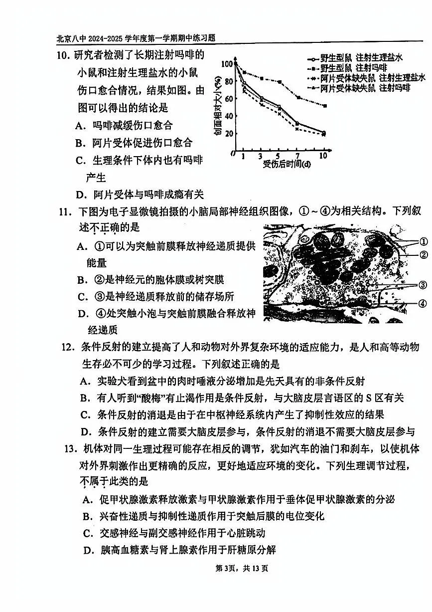 2024北京八中高二（上）期中生物试卷（有答案）第3页