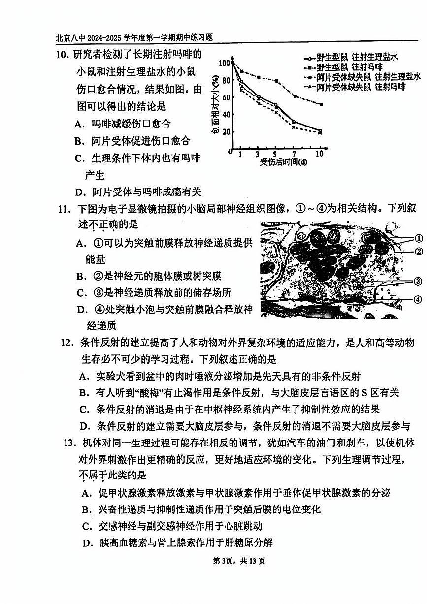 2024北京八中高二（上）期中生物试卷（有答案）第3页