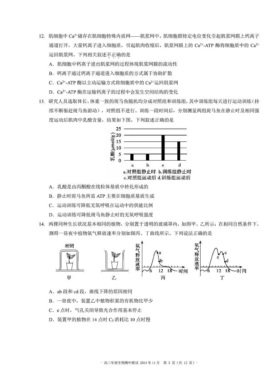 2024北京二中高三（上）期中生物试卷（有答案）第3页