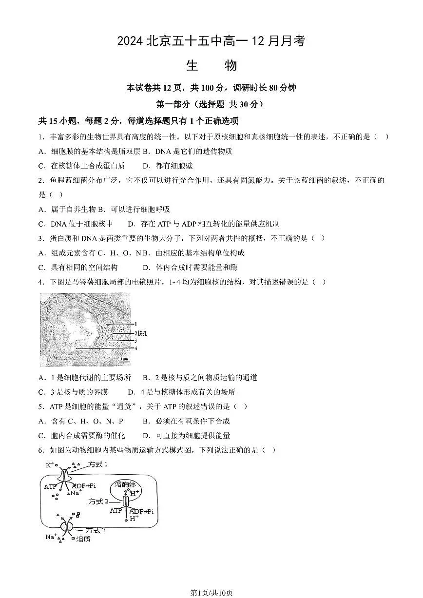 2024北京五十五中高一（上）12月月考生物试卷（无答案）第1页