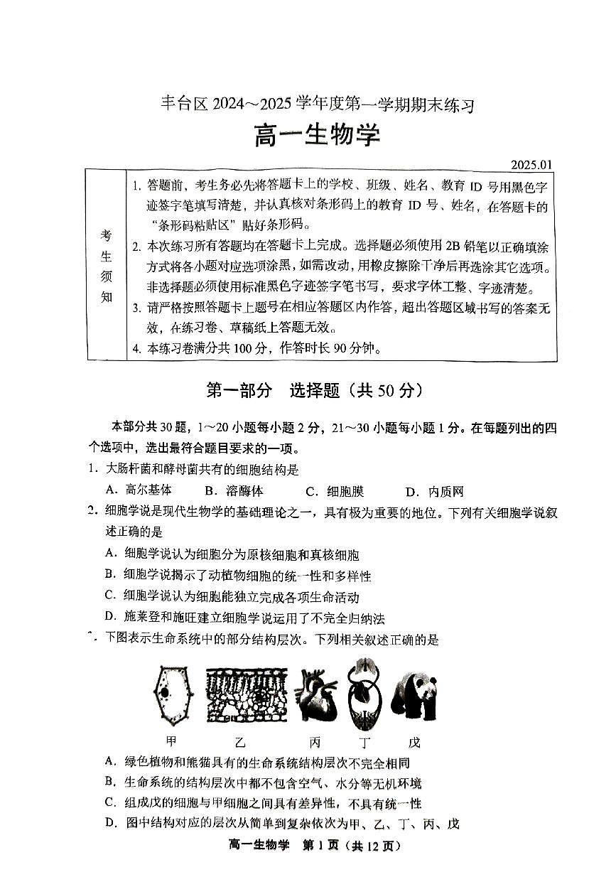 2025北京丰台高一（上）期末生物试卷（有答案）第1页