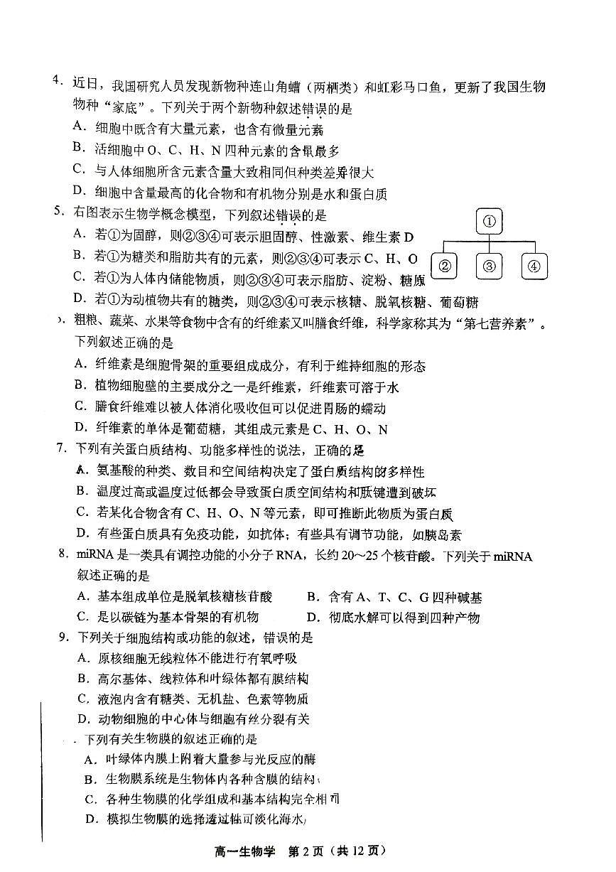 2025北京丰台高一（上）期末生物试卷（有答案）第2页