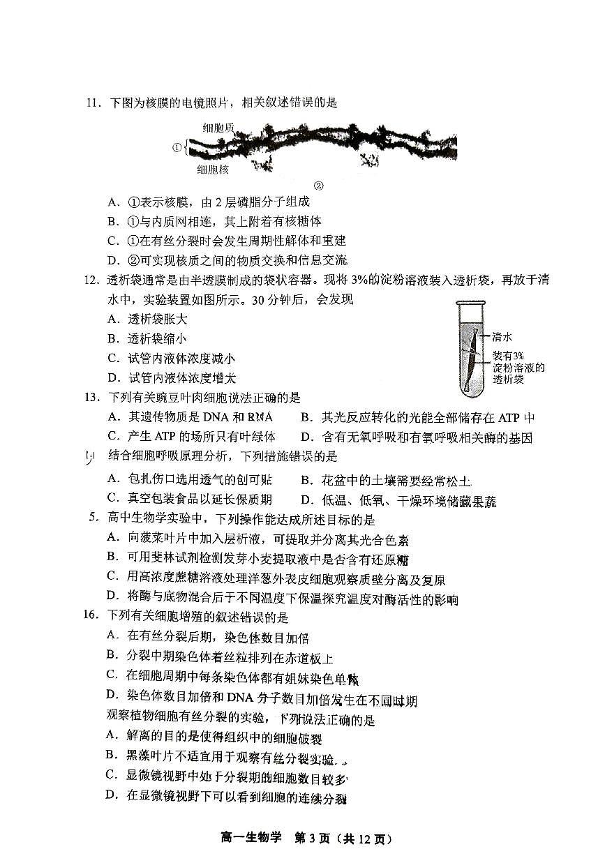 2025北京丰台高一（上）期末生物试卷（有答案）第3页