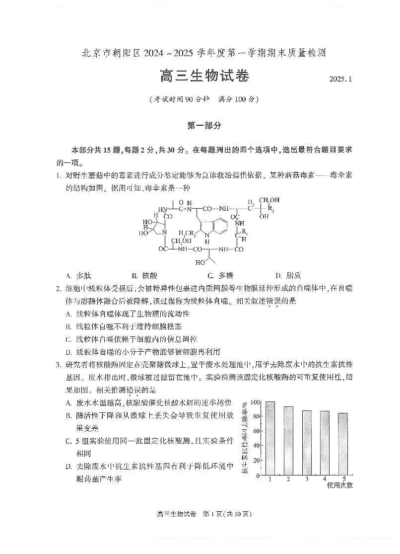 2025北京朝阳高三（上）期末生物试卷（有答案）第1页