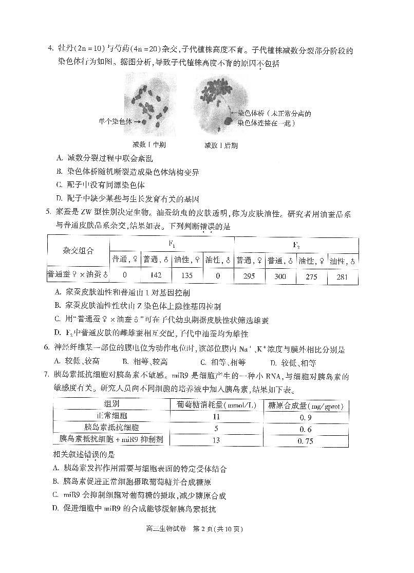 2025北京朝阳高三（上）期末生物试卷（有答案）第2页