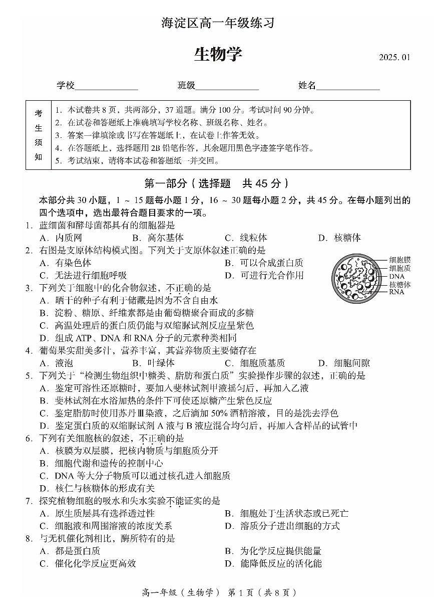 2025北京海淀高一（上）期末生物试卷（有答案）第1页