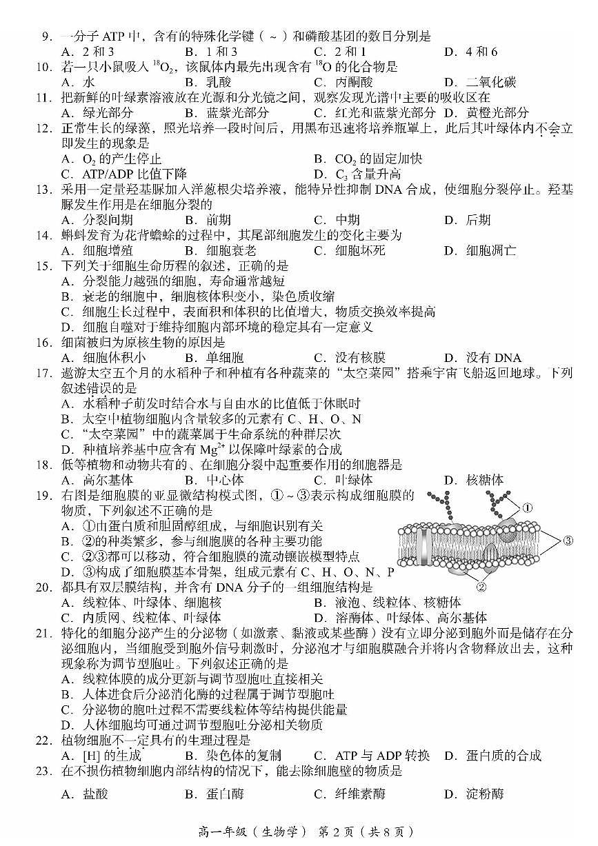 2025北京海淀高一（上）期末生物试卷（有答案）第2页