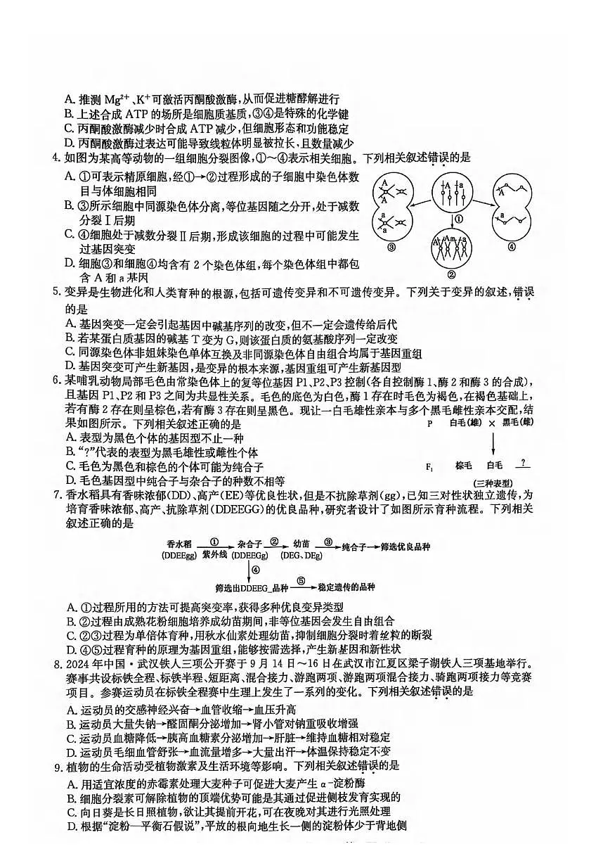 生物丨湖北省黄冈市2025届高三下学期3月核心预测卷生物试卷及答案第2页