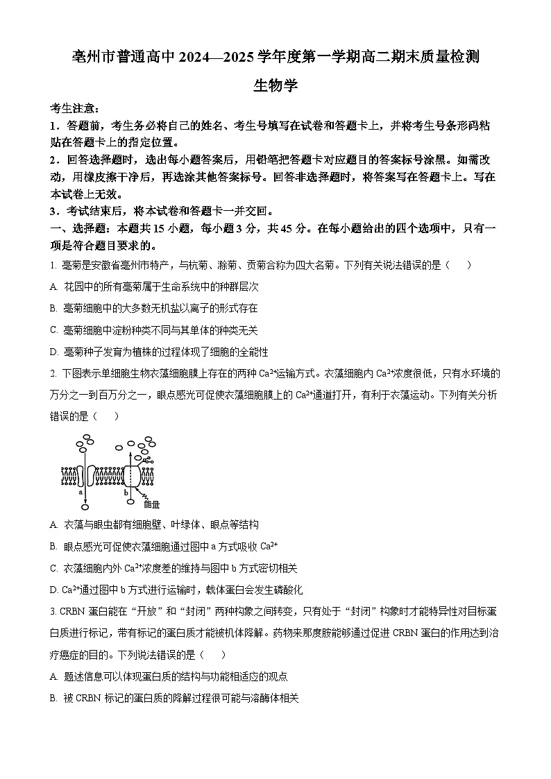 安徽省亳州市2024-2025学年高二上学期期末生物试卷 Word版无答案第1页