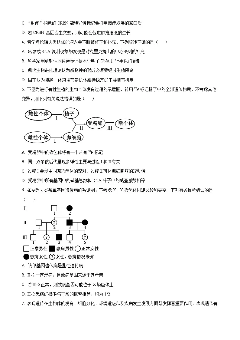 安徽省亳州市2024-2025学年高二上学期期末生物试卷 Word版无答案第2页