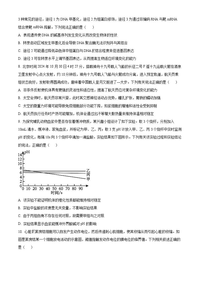 安徽省亳州市2024-2025学年高二上学期期末生物试卷 Word版无答案第3页