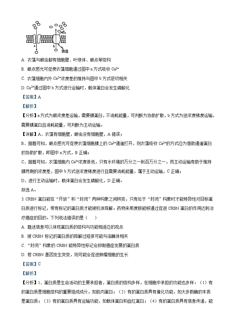 安徽省亳州市2024-2025学年高二上学期期末生物试卷 Word版含解析第2页