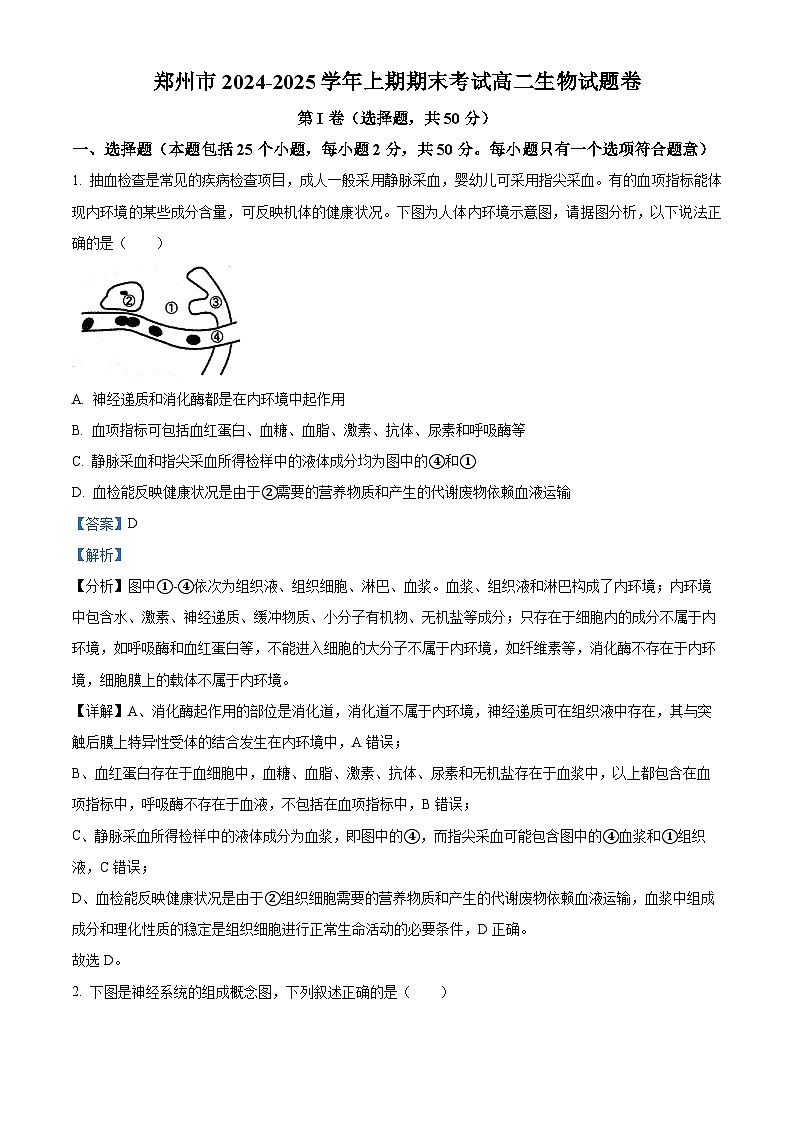 河南省郑州市2024-2025学年高二上期期末考试生物试题   Word版含解析第1页