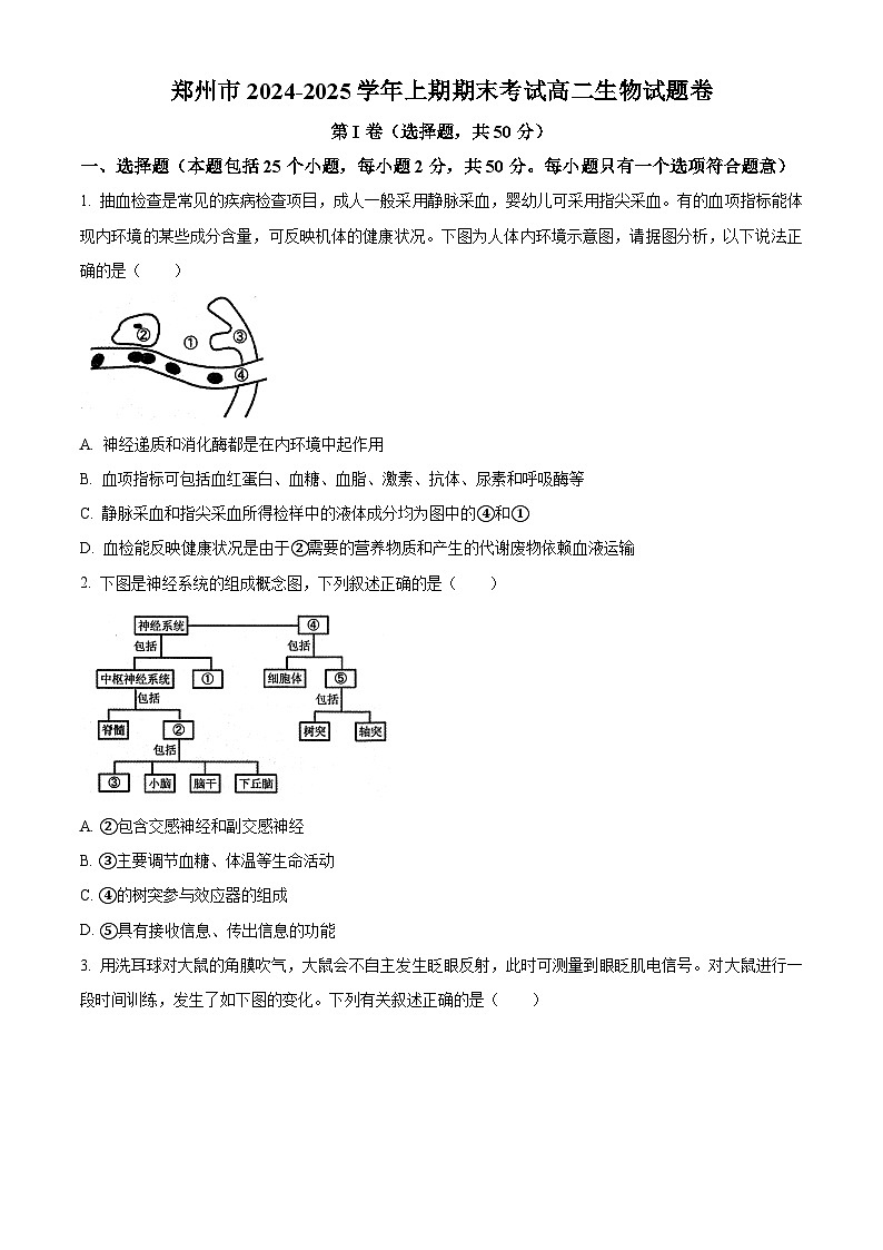 河南省郑州市2024-2025学年高二上期期末考试生物试题   Word版无答案第1页