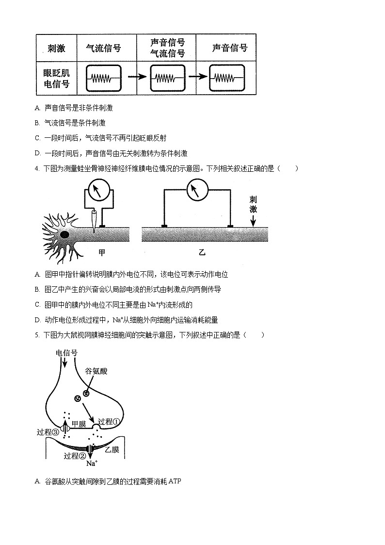 河南省郑州市2024-2025学年高二上期期末考试生物试题   Word版无答案第2页
