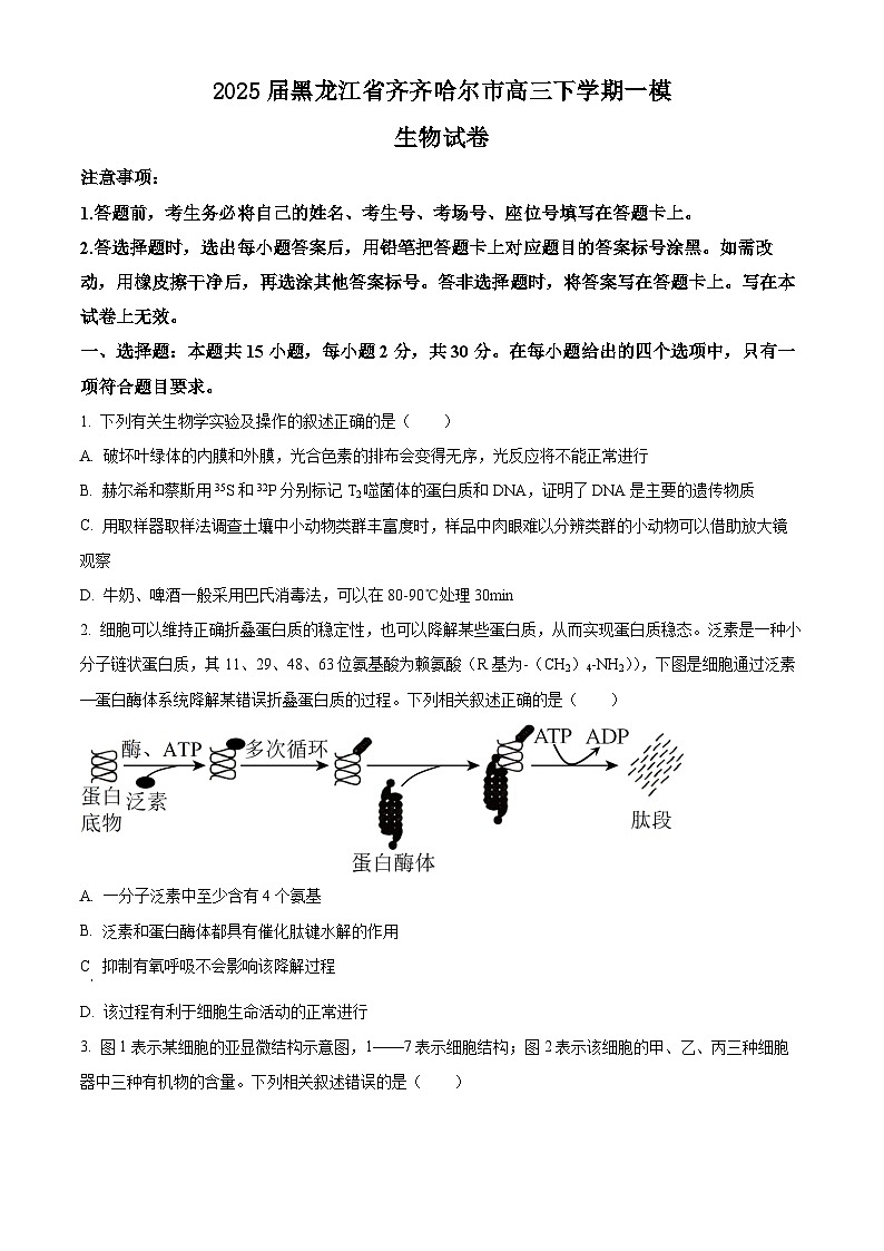 黑龙江省齐齐哈尔市2025届高三下学期一模生物试卷（Word版附答案）第1页