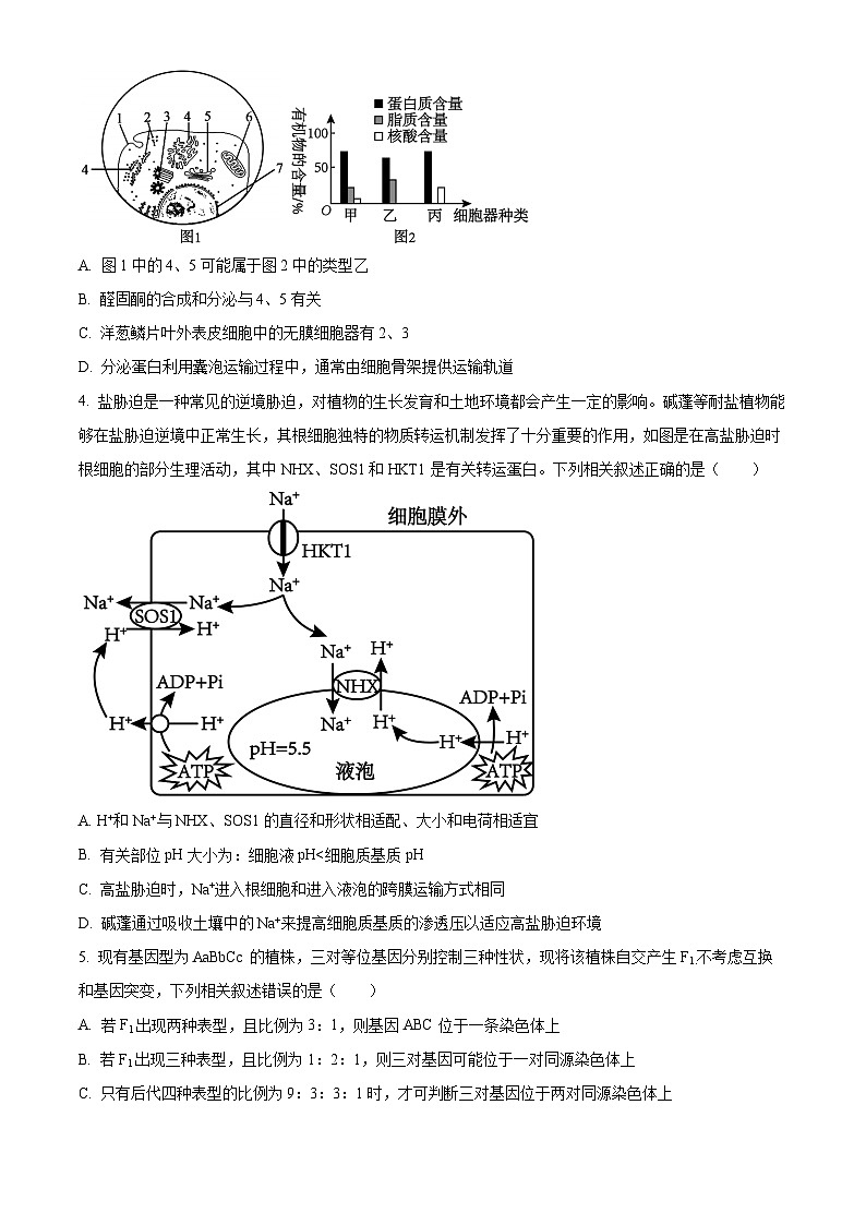 黑龙江省齐齐哈尔市2025届高三下学期一模生物试卷（Word版附答案）第2页