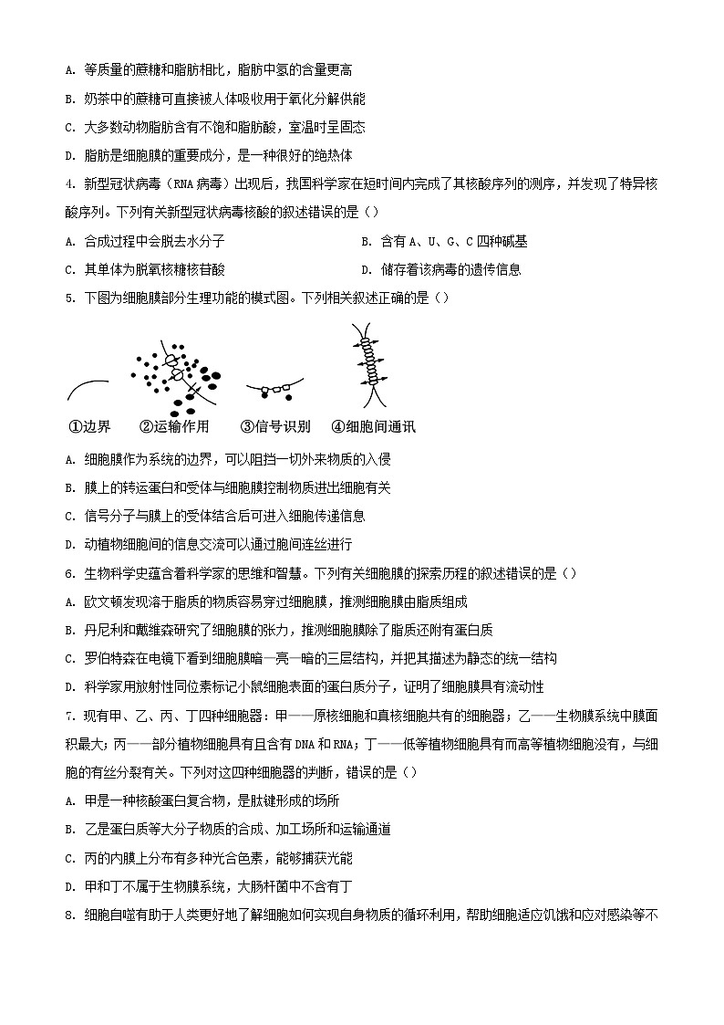广东省深圳市龙岗区2023_2024学年高一生物上学期1月期末考试含解析第2页