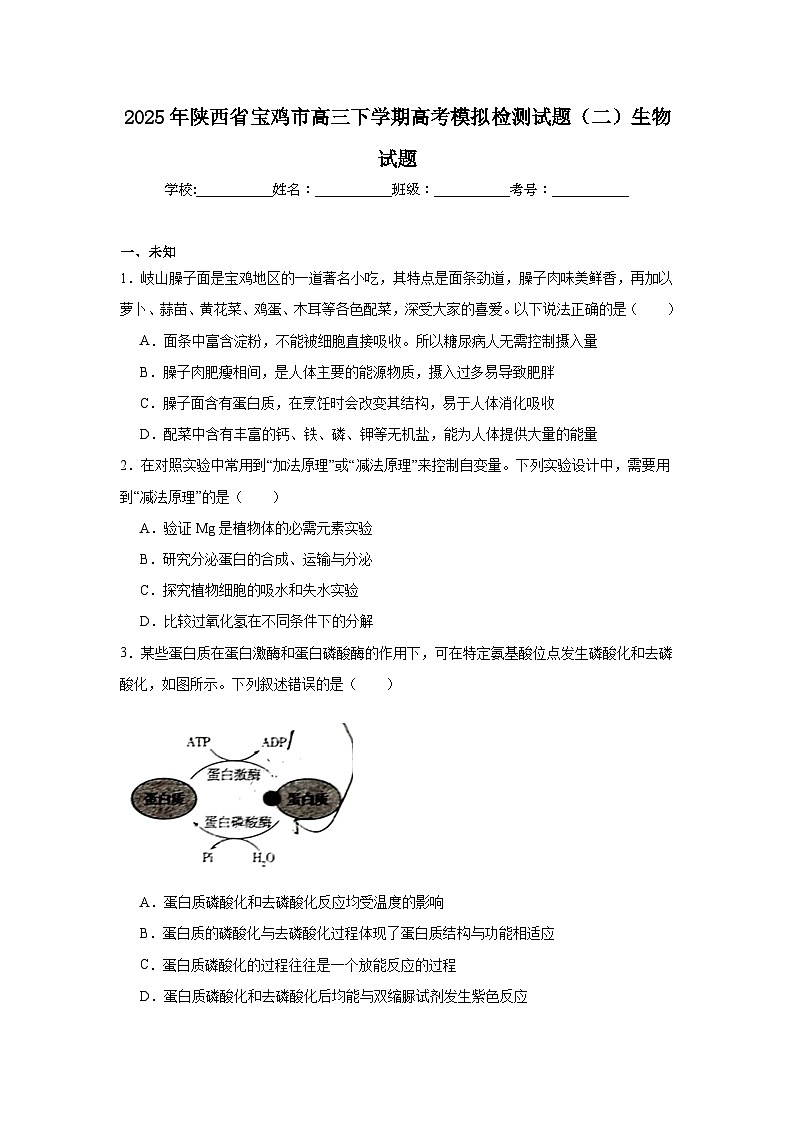 2025年陕西省宝鸡市高三下学期高考模拟检测试题（二）生物试题第1页