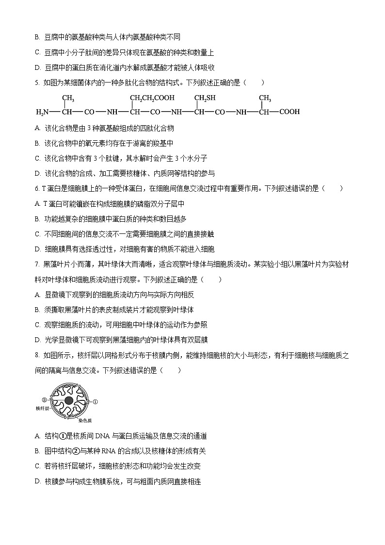 安徽省部分地市2024-2025学年高一下学期开学考试生物试题（原卷版）第2页