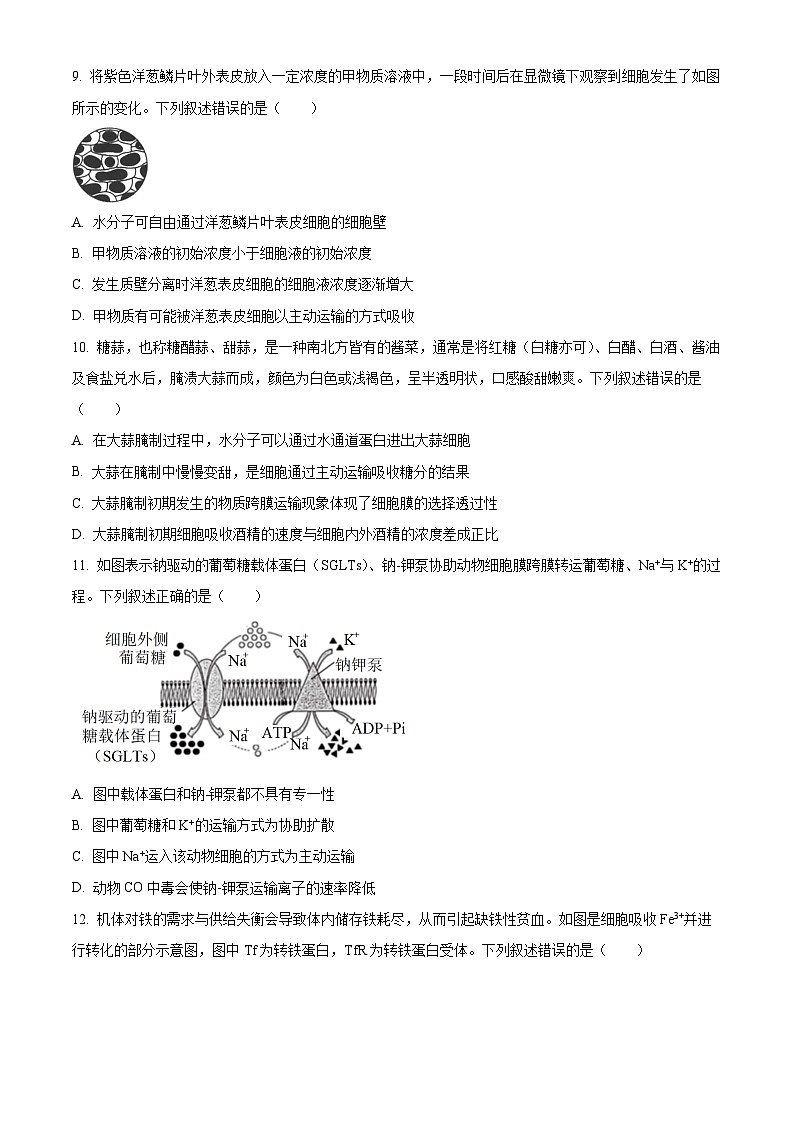 安徽省部分地市2024-2025学年高一下学期开学考试生物试题（原卷版）第3页
