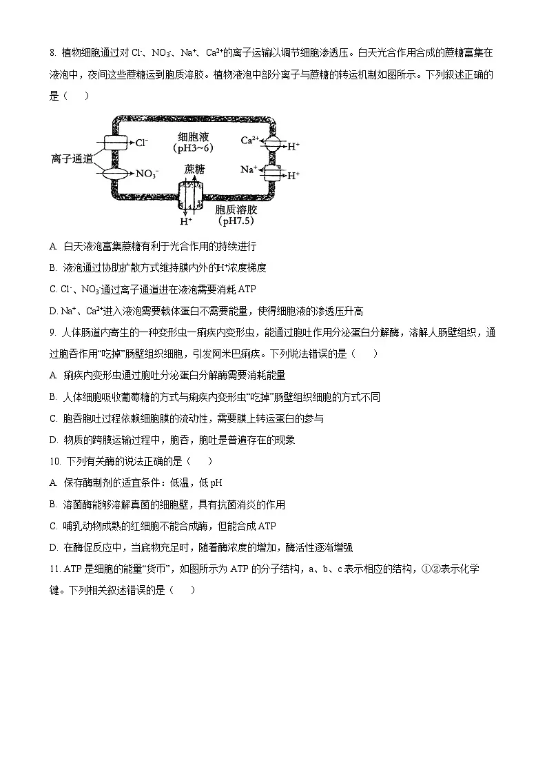 山西省运城市2024-2025学年高一上学期1月期末生物试题（原卷版）第3页