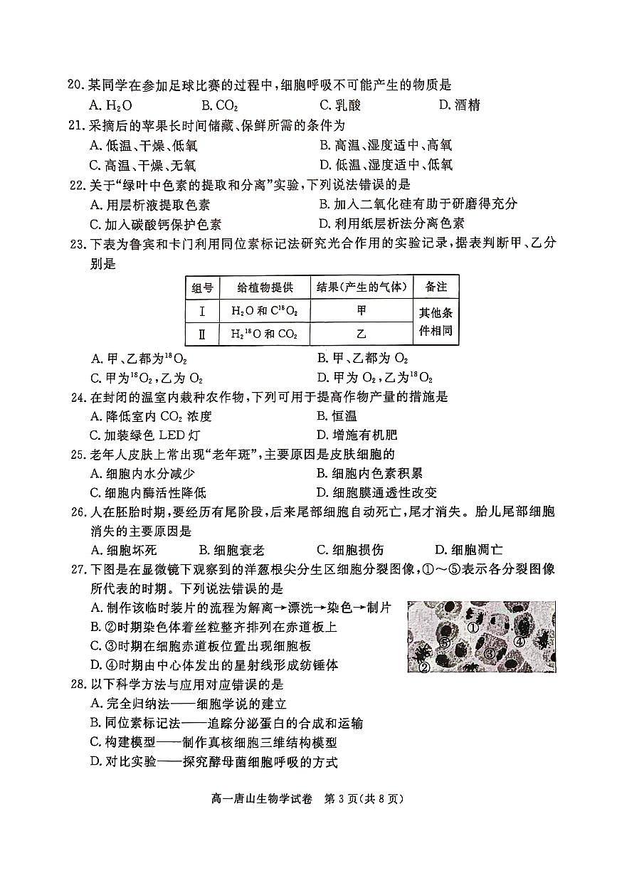 2025唐山高一上学期期末考试生物PDF版无答案第3页