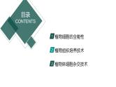 2.1.2 植物细胞工程（第2课时）（情境教学课件）-2024-2025学年高二生物同步备课系列（人教版2019选择性必修3）