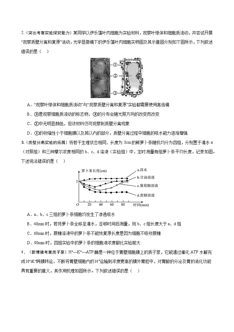 重难点01 物质运输（2大重难突破）-2025年高考生物 热点 重点 难点 专练（黑吉辽内专用）（原卷版）第3页